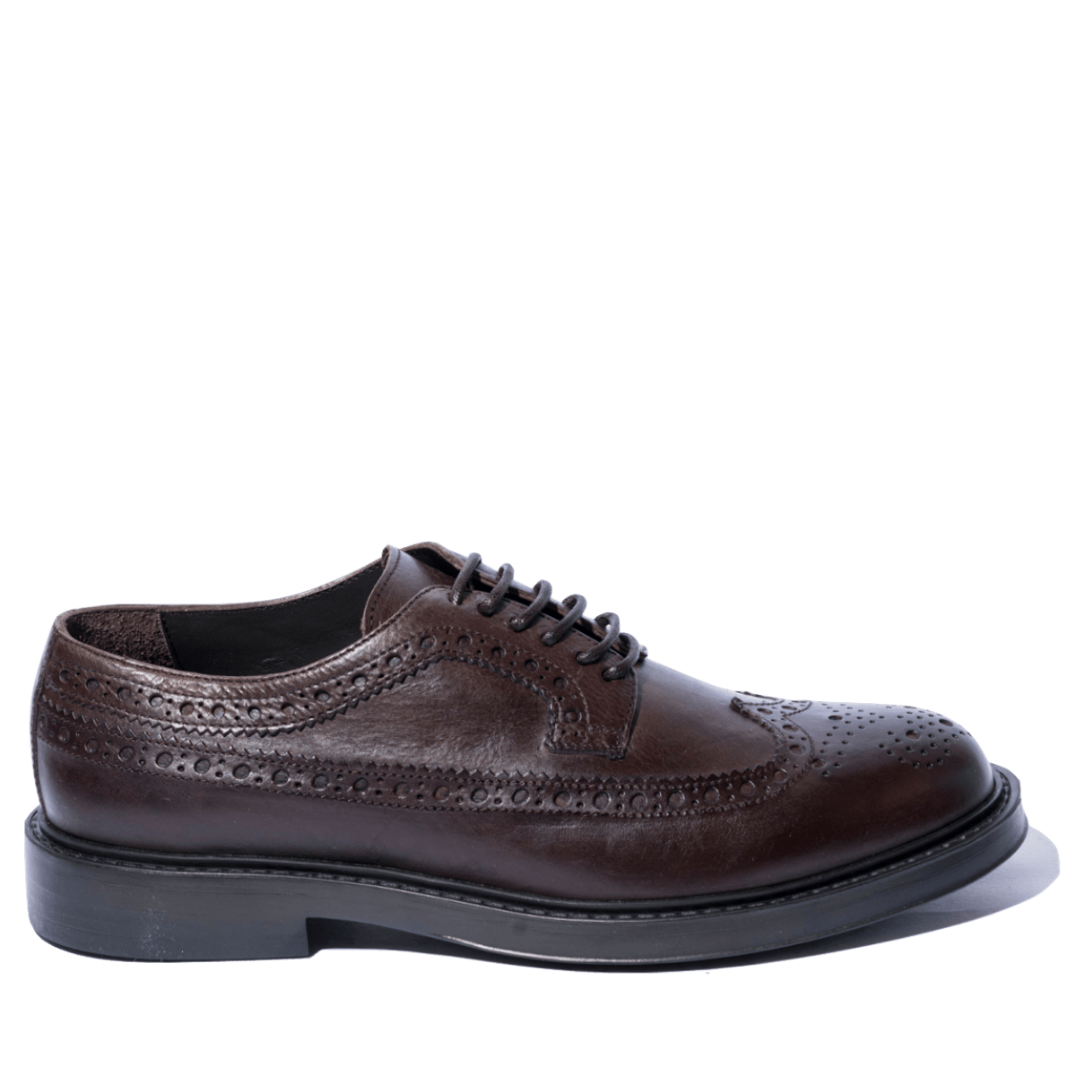 Classica Allacciata Derby Triver Flight Pelle Coda Di Rondine Moro - Triver Flight - Calzature Savorè