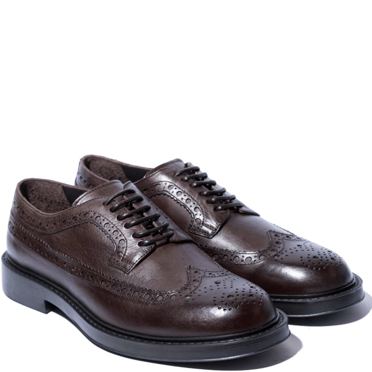 Classica Allacciata Derby Triver Flight Pelle Coda Di Rondine Moro - Triver Flight - Calzature Savorè