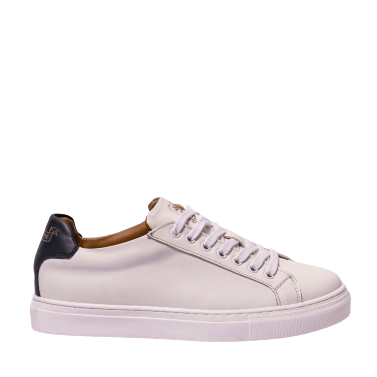 Allacciata Saxone Pelle Bianco - Saxone - Calzature Savorè