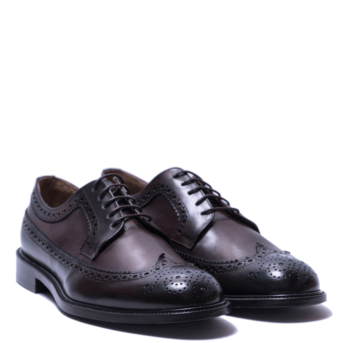 Classica Allacciata Jerold Wilton Derby Coda Di Rondine Pelle Butter Testa Di Moro - Jerold Wilton - Calzature Savorè