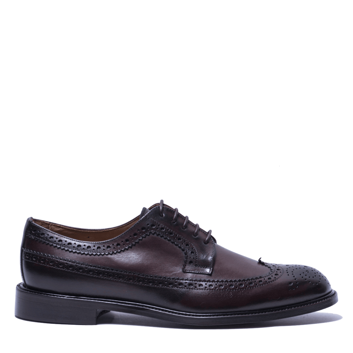 Classica Allacciata Jerold Wilton Derby Coda Di Rondine Pelle Butter Testa Di Moro - Jerold Wilton - Calzature Savorè