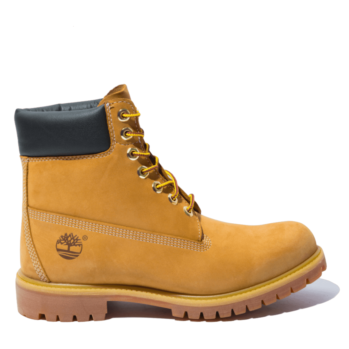 Boot Timberland Premium 6 Inch Waterproof Wheat Nabuck - Timberland - Calzature Savorè