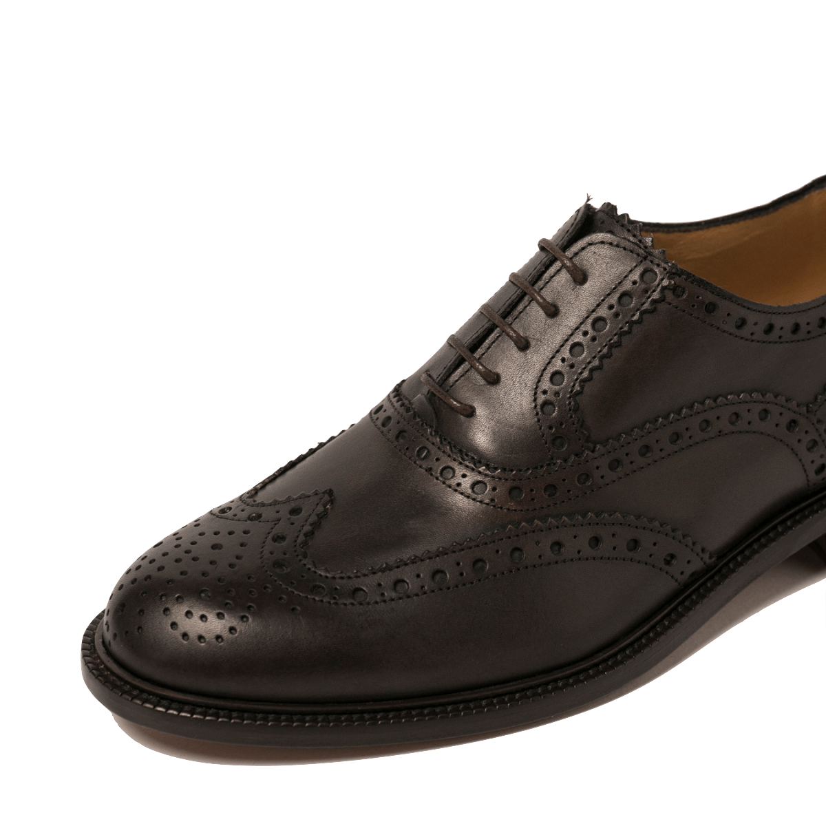 Classica Allacciata Saxone Vitello Coda Di Rondine Testa Di Moro