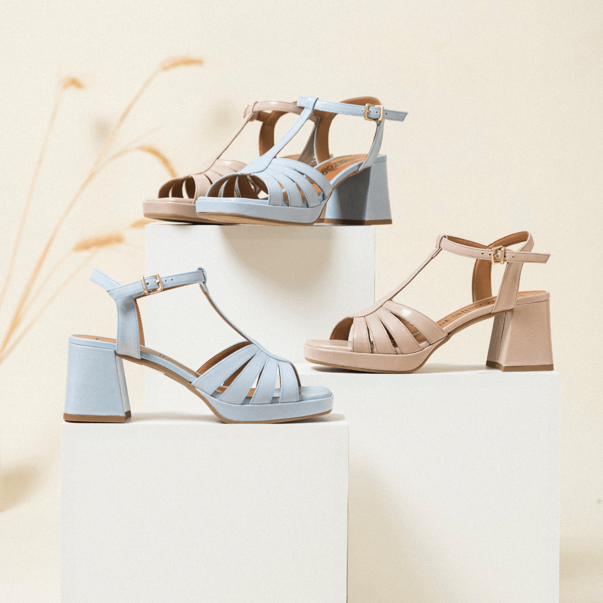 Calzature le gazzelle online